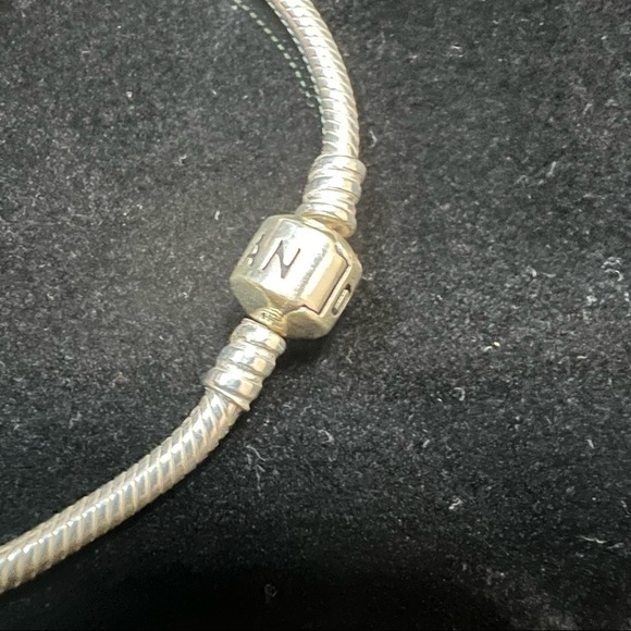 PANDORA | Starter Bracelet + 2 Clip-on Charms - Picture 3 of 4